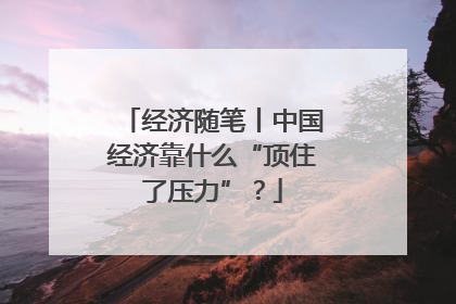 经济随笔丨中国经济靠什么“顶住了压力”？