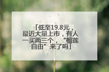 低至19.8元，最近大量上市，有人一买两三个，“榴莲自由”来了吗