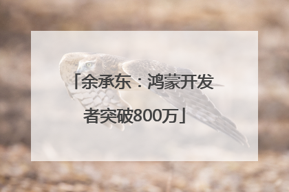 余承东：鸿蒙开发者突破800万
