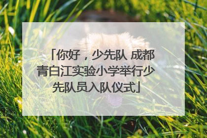 你好，少先队 成都青白江实验小学举行少先队员入队仪式