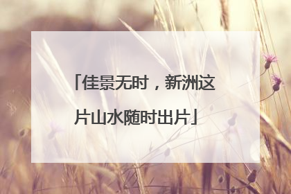 佳景无时，新洲这片山水随时出片