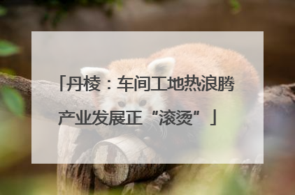 丹棱：车间工地热浪腾产业发展正“滚烫”