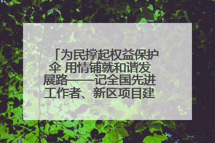 为民撑起权益保护伞 用情铺就和谐发展路——记全国先进工作者、新区项目建设中心干部卢小勇