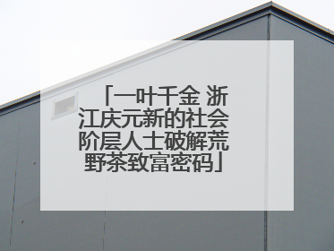 一叶千金 浙江庆元新的社会阶层人士破解荒野茶致富密码