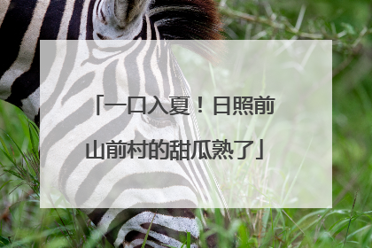 一口入夏！日照前山前村的甜瓜熟了