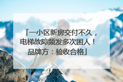 一小区新房交付不久，电梯故障频发多次困人！品牌方：验收合格