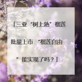 三亚“树上熟”榴莲批量上市 “榴莲自由”能实现了吗？