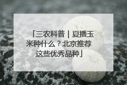 三农科普｜夏播玉米种什么？北京推荐这些优秀品种