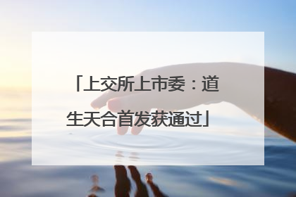 上交所上市委：道生天合首发获通过