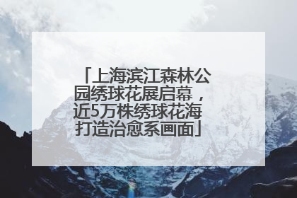 上海滨江森林公园绣球花展启幕，近5万株绣球花海打造治愈系画面
