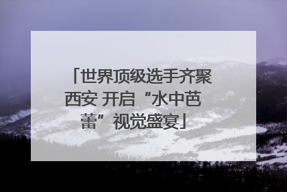 世界顶级选手齐聚西安 开启“水中芭蕾”视觉盛宴