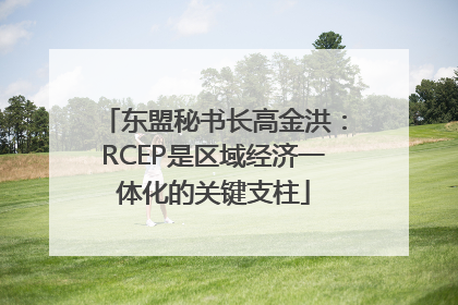 东盟秘书长高金洪：RCEP是区域经济一体化的关键支柱