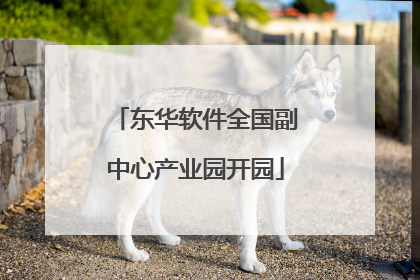 东华软件全国副中心产业园开园