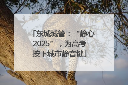 东城城管：“静心2025”，为高考按下城市静音键