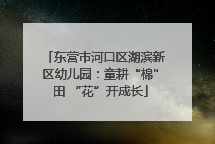 东营市河口区湖滨新区幼儿园：童耕“棉”田 “花”开成长