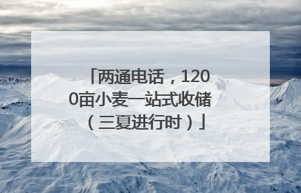 两通电话，1200亩小麦一站式收储（三夏进行时）