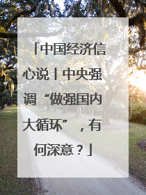 中国经济信心说丨中央强调“做强国内大循环”，有何深意？