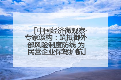 中国经济微观察·专家谈构：筑抵御外部风险制度防线 为民营企业保驾护航