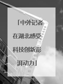 中外记者在湖北感受科技创新澎湃动力