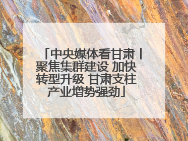 中央媒体看甘肃丨聚焦集群建设 加快转型升级 甘肃支柱产业增势强劲