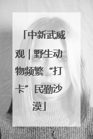 中新武威观｜野生动物频繁“打卡”民勤沙漠