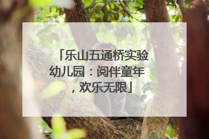 乐山五通桥实验幼儿园：阅伴童年，欢乐无限
