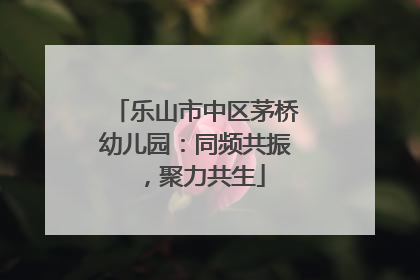 乐山市中区茅桥幼儿园：同频共振，聚力共生