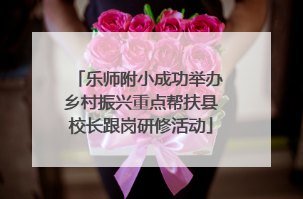 乐师附小成功举办乡村振兴重点帮扶县校长跟岗研修活动