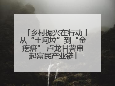 乡村振兴在行动丨从“土坷垃”到“金疙瘩” 卢龙甘薯串起富民产业链