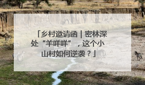 乡村邀请函｜密林深处“羊咩咩”，这个小山村如何逆袭？