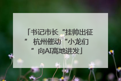 书记市长“挂帅出征” 杭州催动“小龙们”向AI高地进发