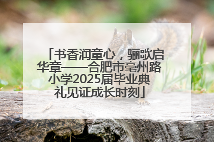 书香润童心，骊歌启华章——合肥市亳州路小学2025届毕业典礼见证成长时刻