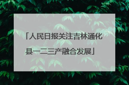 人民日报关注吉林通化县一二三产融合发展