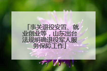 事关退役安置、就业创业等，山东出台法规明确退役军人服务保障工作