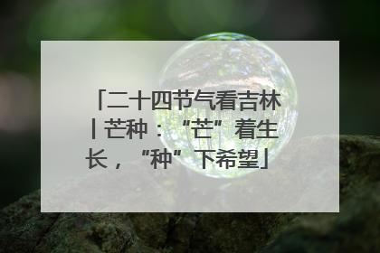 二十四节气看吉林丨芒种：“芒”着生长，“种”下希望
