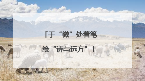 于“微”处着笔 绘“诗与远方”