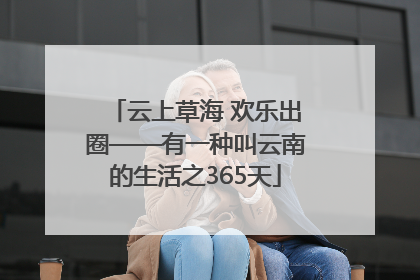 云上草海 欢乐出圈——有一种叫云南的生活之365天