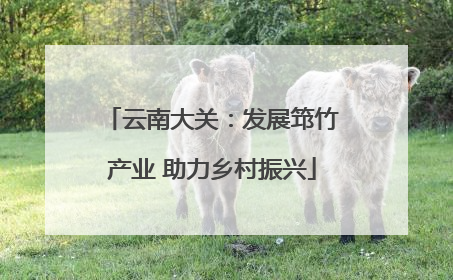 云南大关：发展筇竹产业 助力乡村振兴