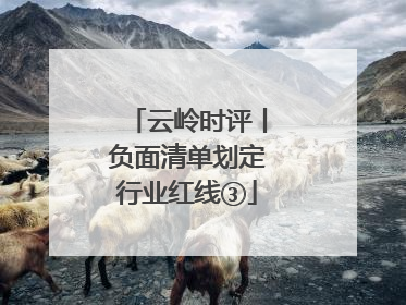 云岭时评丨负面清单划定行业红线③