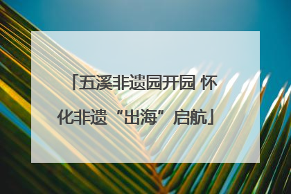 五溪非遗园开园 怀化非遗“出海”启航