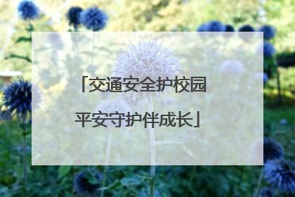 交通安全护校园 平安守护伴成长