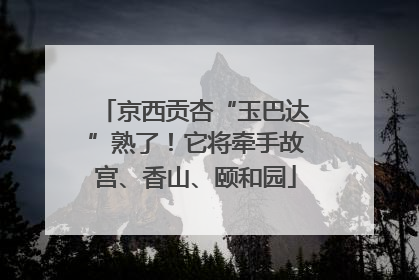 京西贡杏“玉巴达”熟了！它将牵手故宫、香山、颐和园