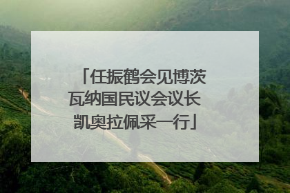 任振鹤会见博茨瓦纳国民议会议长凯奥拉佩采一行