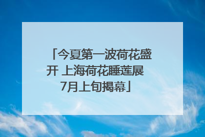 今夏第一波荷花盛开 上海荷花睡莲展7月上旬揭幕