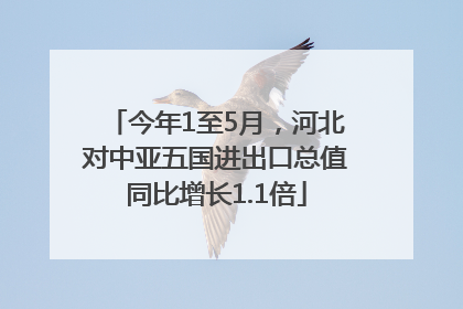 今年1至5月，河北对中亚五国进出口总值同比增长1.1倍