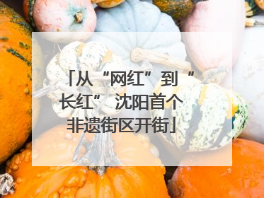 从“网红”到“长红” 沈阳首个非遗街区开街