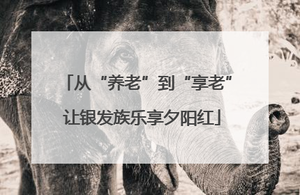 从“养老”到“享老” 让银发族乐享夕阳红