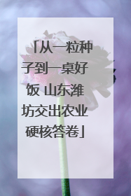从一粒种子到一桌好饭 山东潍坊交出农业硬核答卷