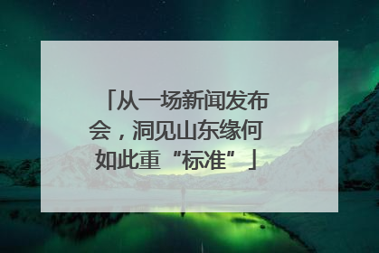从一场新闻发布会，洞见山东缘何如此重“标准”