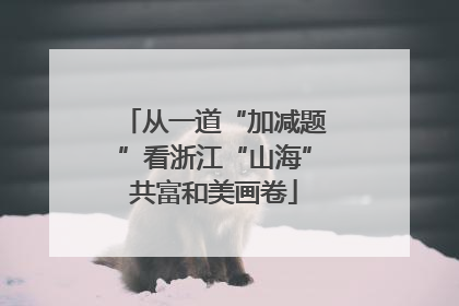 从一道“加减题”看浙江“山海”共富和美画卷